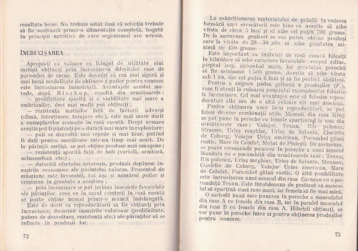 p141 035