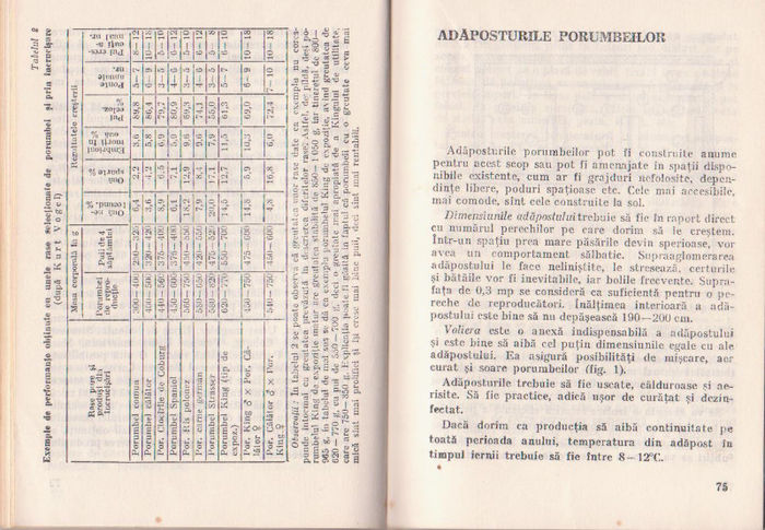 p141 036