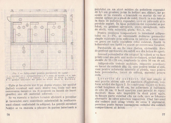 p141 037