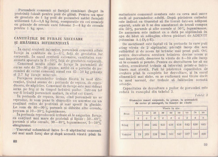 p141 043