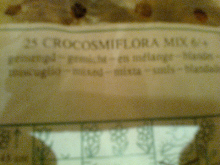 crocosmiiflora Bakker