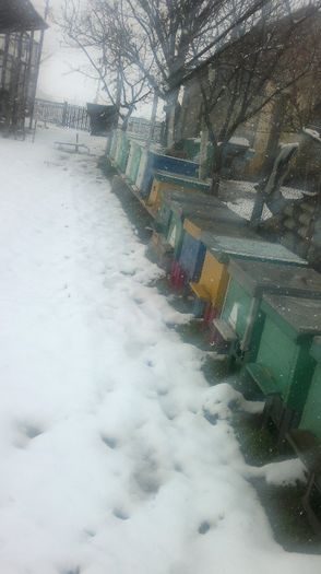 2013-03-26-221