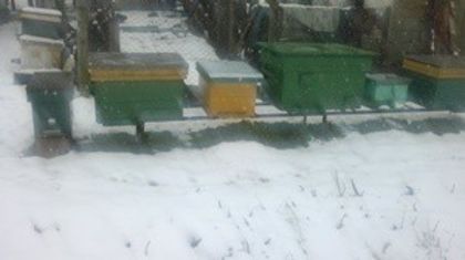 2013-03-26-223