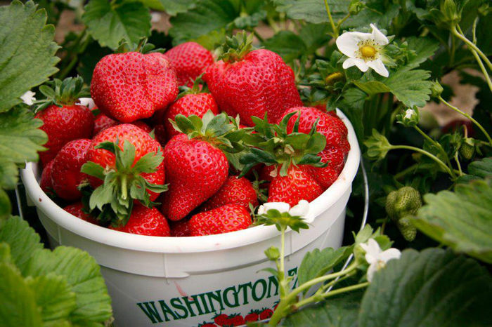 539575_278741512256775_1558662413_n[1]