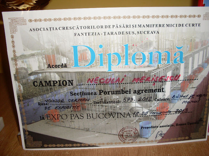 SDC17922 - Diplome si trofee