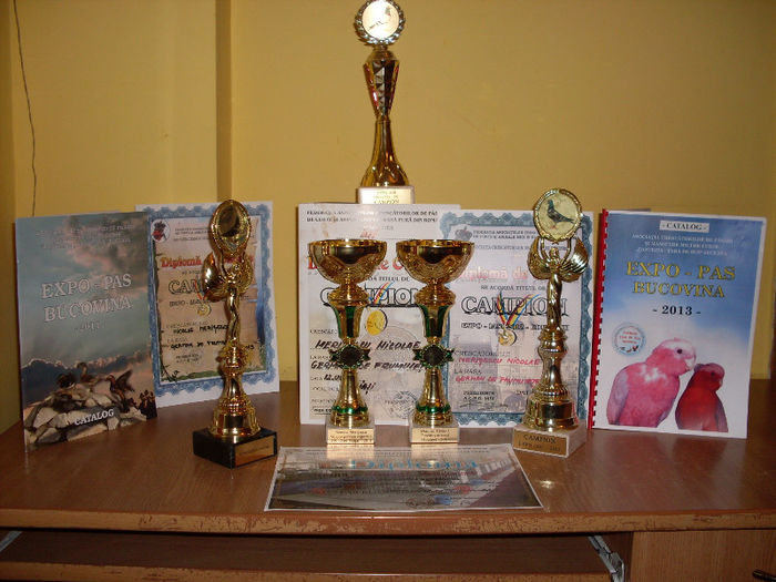 SDC17925 - Diplome si trofee