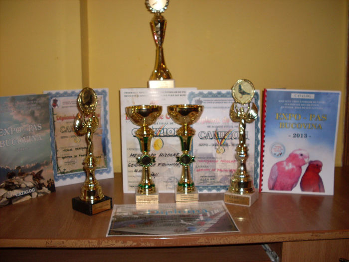 SDC17926 - Diplome si trofee