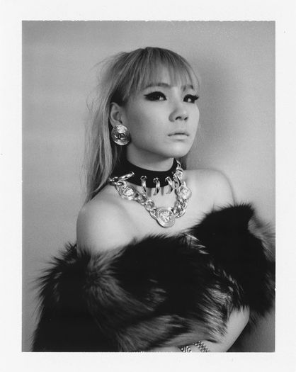 cl6 - 2ne1 4