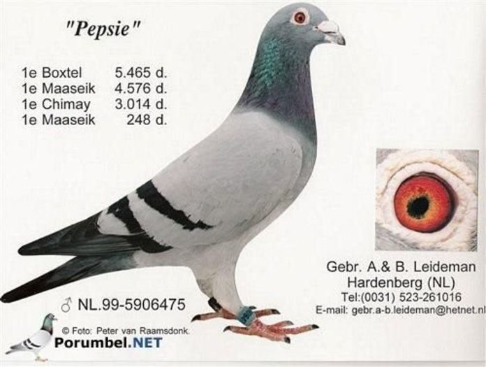 pepsie