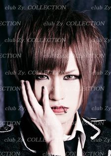 527654_349100361857662_878852964_n - Diaura Club Zy Colections 2013