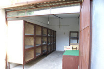 73331622_XBOJDUV3