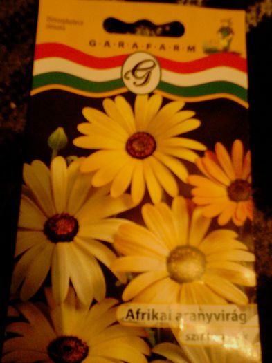 IMG_20130329_164226 - achizitii