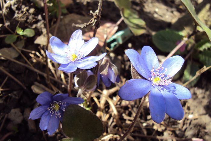 DSC03360