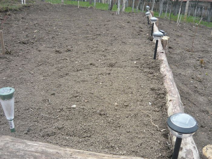 loc pregatit pt crini