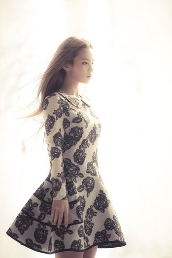 lee hi5