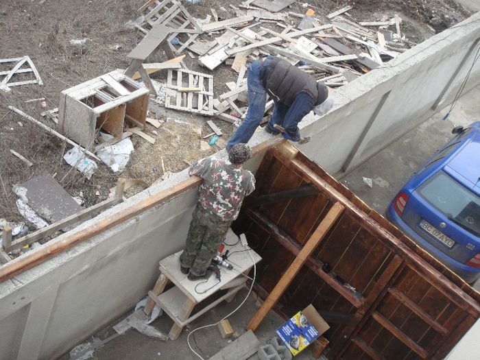 DSC00907 - Foisor si Voliera