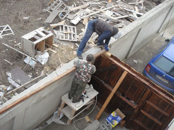 DSC00910 - Foisor si Voliera