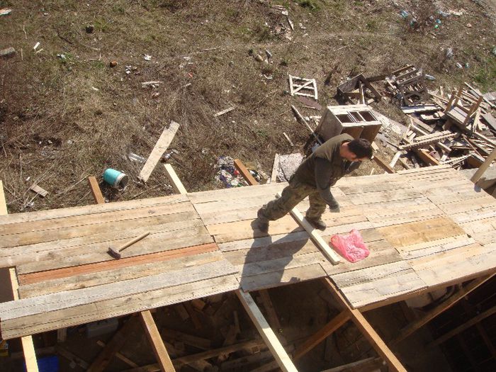 DSC00941 - Foisor si Voliera