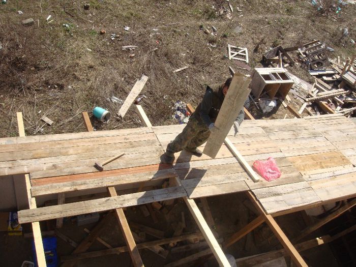 DSC00942 - Foisor si Voliera