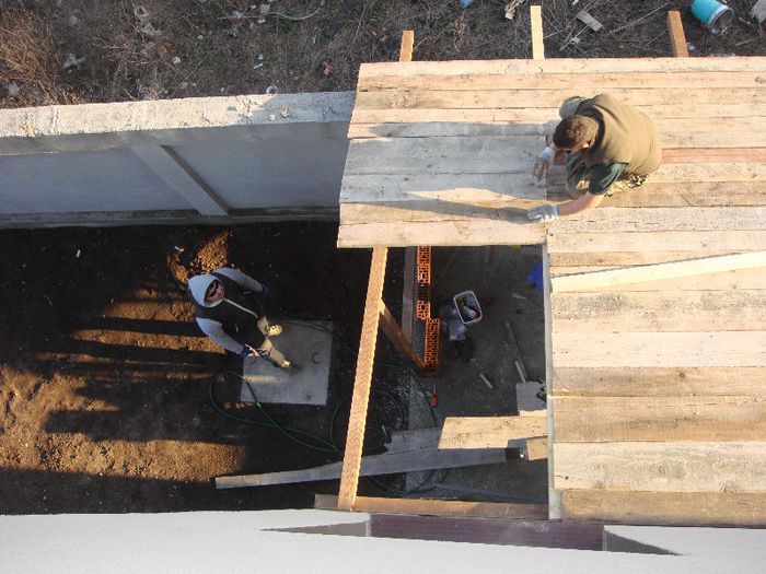 DSC00944 - Foisor si Voliera