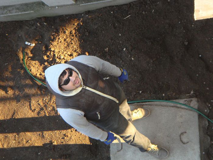 Alex - Foisor si Voliera