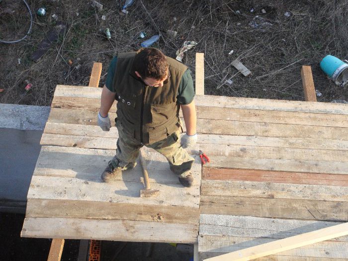 DSC00948 - Foisor si Voliera