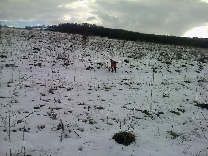 FĂ©nykĂ©p0705[1]