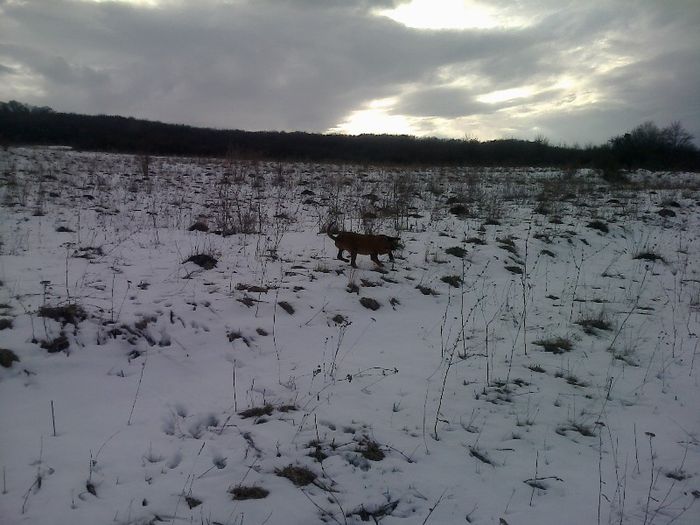 FĂ©nykĂ©p0707[1]