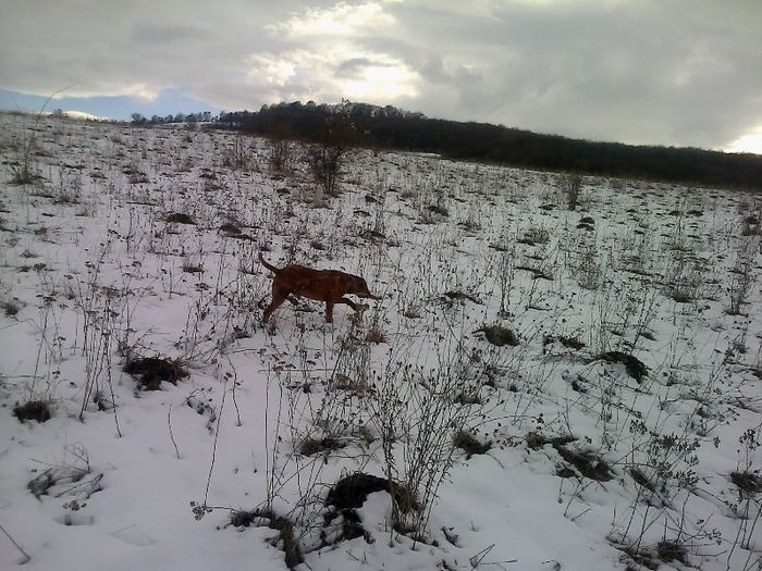 FĂ©nykĂ©p0709[1]