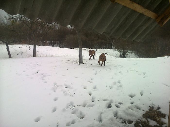 FĂ©nykĂ©p0710[1]