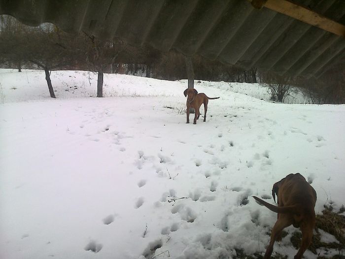 FĂ©nykĂ©p0711[1]