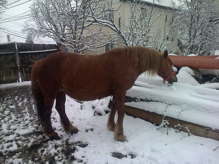 FĂ©nykĂ©p0700[1]