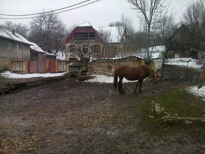 FĂ©nykĂ©p0701[1] - cai