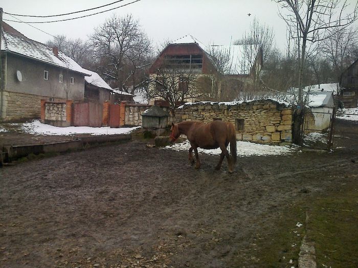 FĂ©nykĂ©p0703[1] - cai