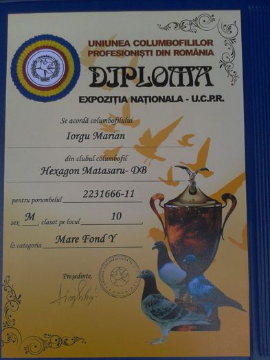 Kanibal 2144517 2010 M - DIPLOME LIGA CAMPIONILOR