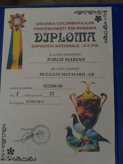 825204 - DIPLOME LIGA CAMPIONILOR