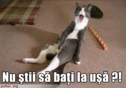 images (21) - poze funny