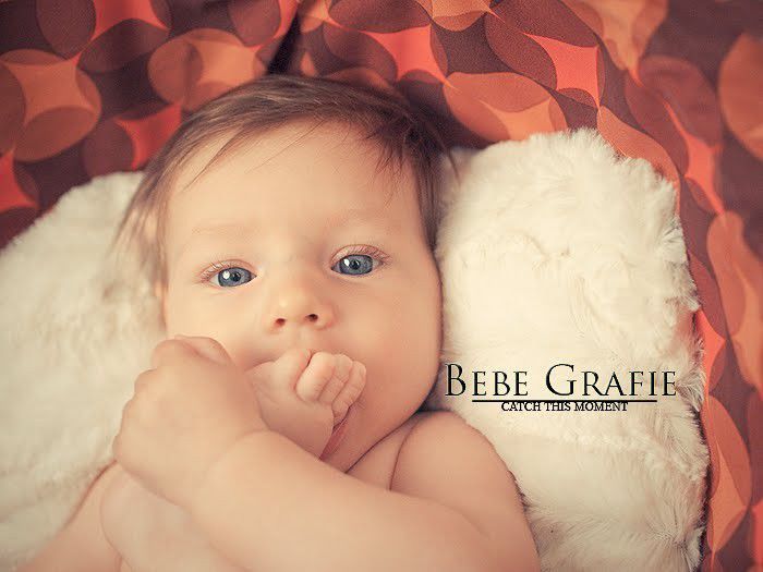 T1033185 - poze funny