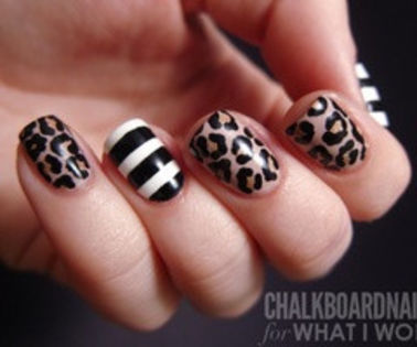 ded95b6e5a4ed7c03a3443acd65a472a_thumb - xo_Modele unghii_xo