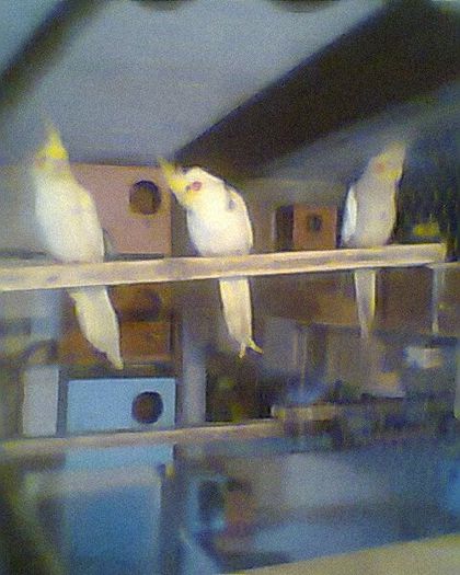 Copy (2) of Fotogr.0239