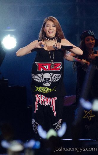 cl6 - 2ne1 4