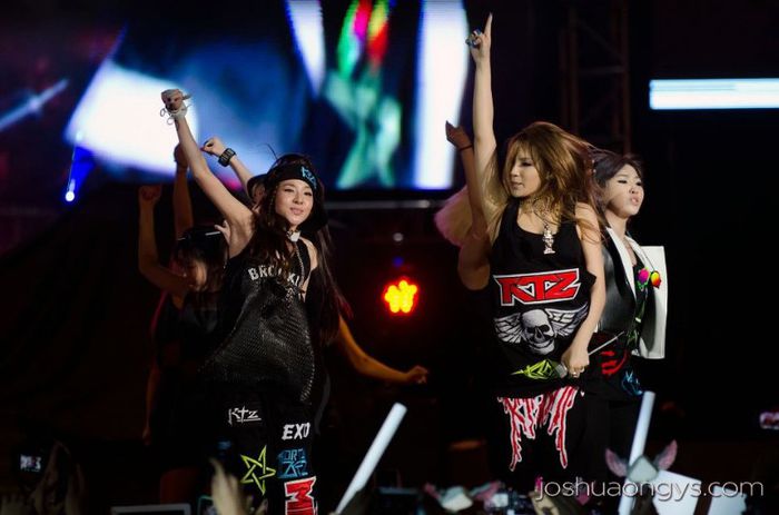 2ne113