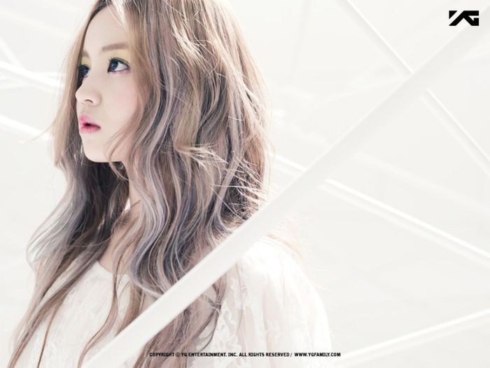 gallery_leehi_rose_mv_03