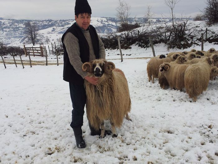 20130330_110754 - Berbeci brezii de vanzare