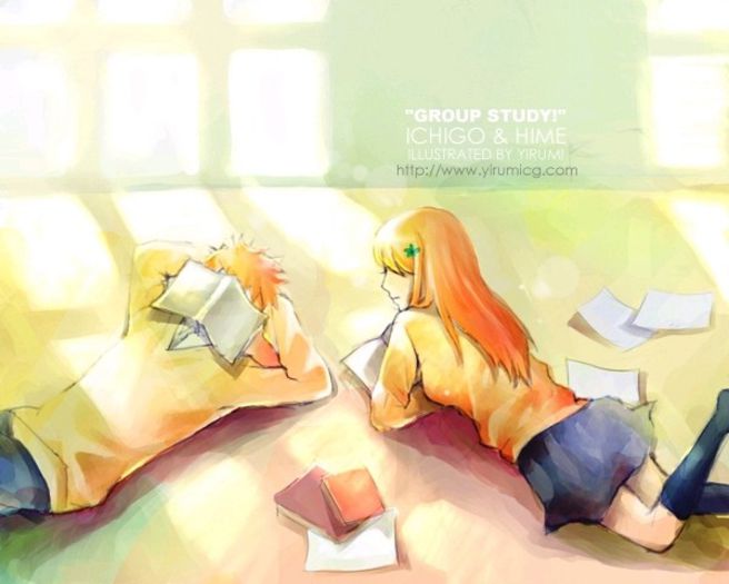 orihime-and-ichigo-ichigo-and-orihime-21707331-600-480