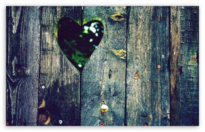 549652_430367037005521_1012003096_n