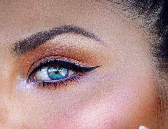 551168_250937158343086_402541671_n