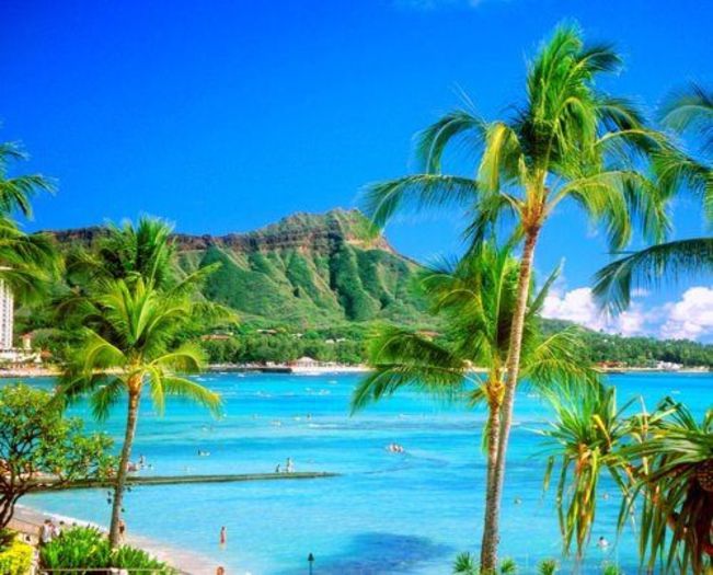 560896_343259379092161_1508607349_n - 0-diverse poze