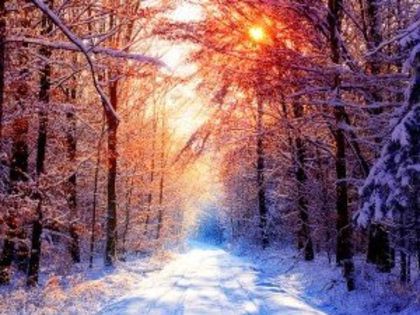 poze-cu-iarna-poza-peisaje-iarna-dragute-fotografii-dektop-de-craciun-si-anul-nou-1