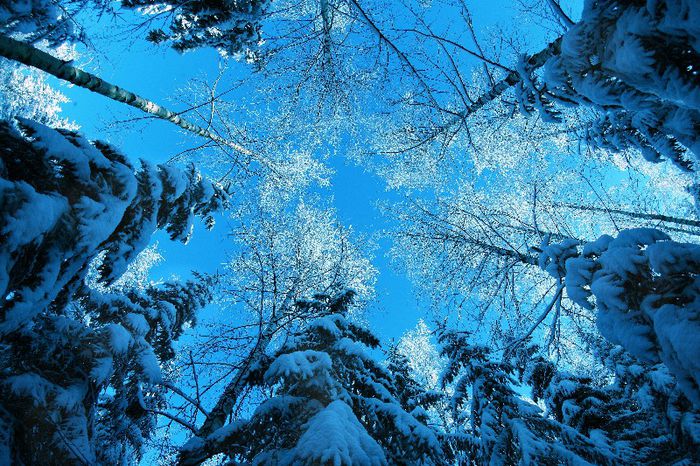 poze-cu-iarna-poza-peisaje-iarna-dragute-fotografii-dektop-de-craciun-si-anul-nou-cer